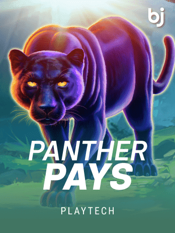 Panther Pays icon